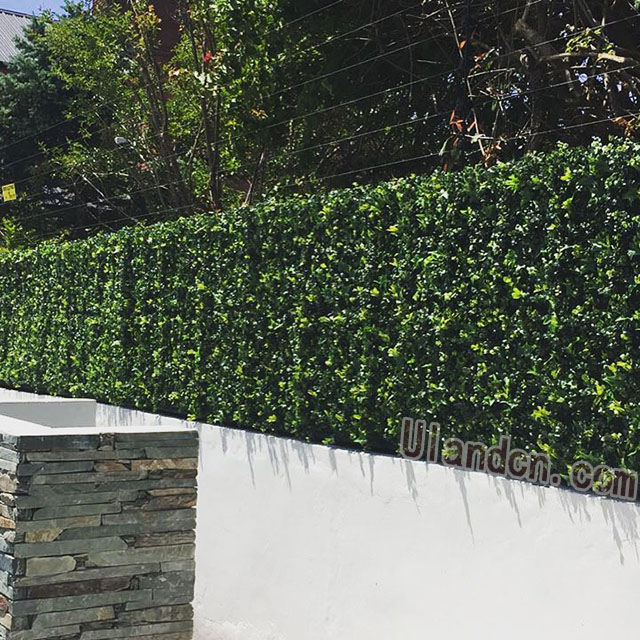 仿真植物墻廠家,優蘭德!