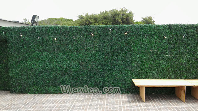 仿真植物墻廠家,優蘭德!
