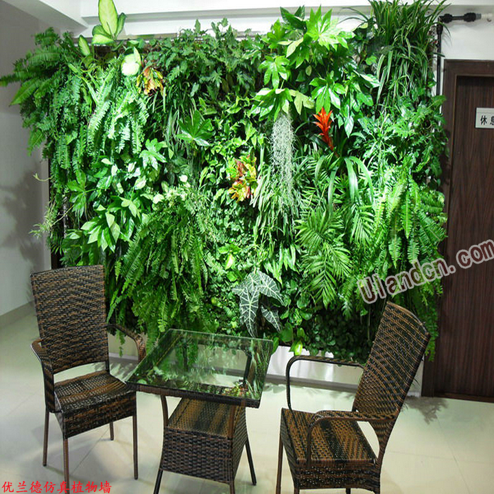 室內立體綠化植物景觀
